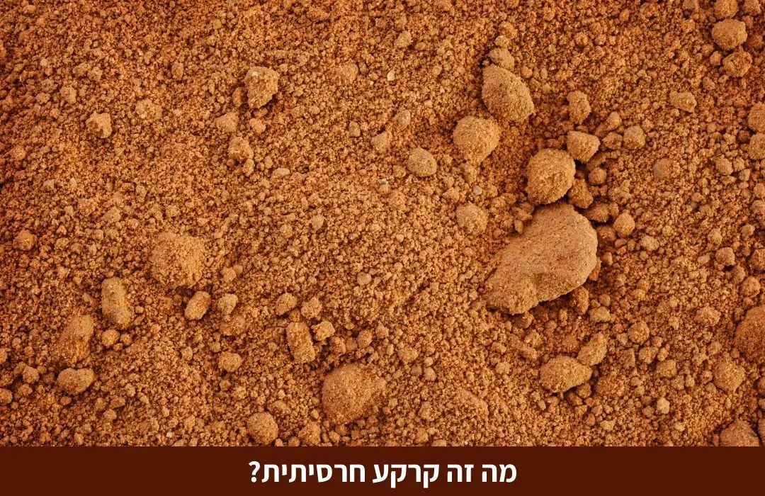 קרקע חרסיתית מה זה? ולמה היא חשובה בענף הבניה